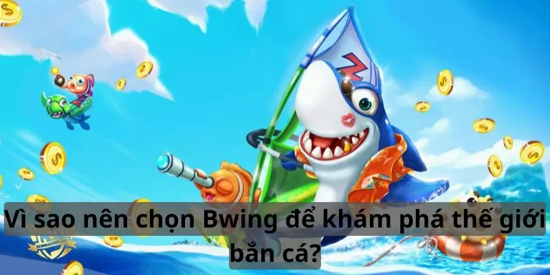 Lý do nên chọn Bwing để khám phá